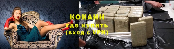 сатива Надым