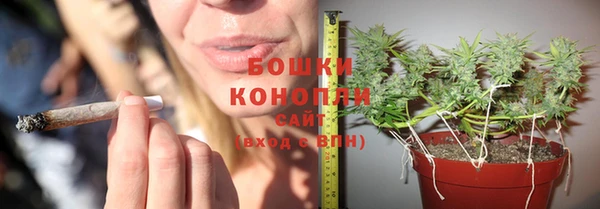 сатива Надым