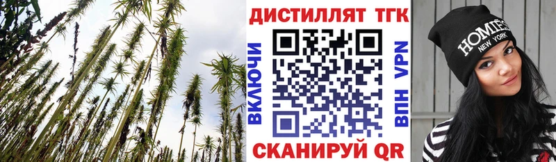 ТГК концентрат  Нея 